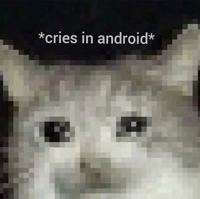 Pixelated cat meme with text cries in android, popular cat meme from cutecats.exe collection.