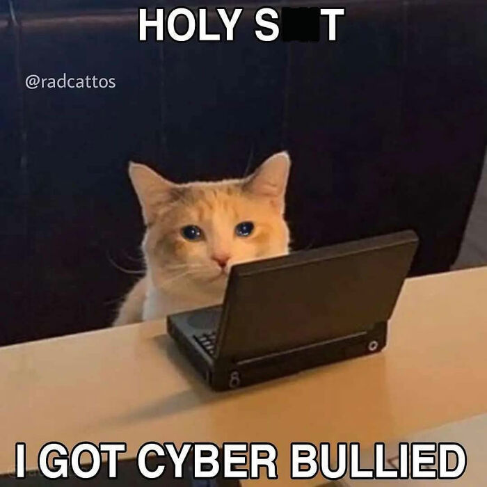 Orange and white cat looking at a handheld gaming device with a shocked expression in a cat meme about cyber bullying.