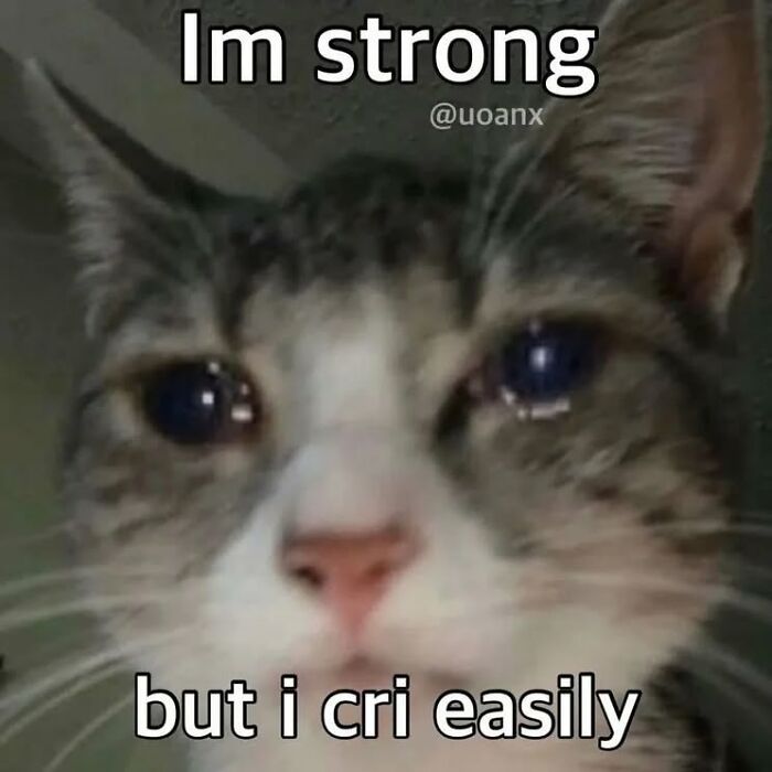 Close-up of a cat with teary eyes and meme text expressing strength but crying easily, a popular cat memes image.