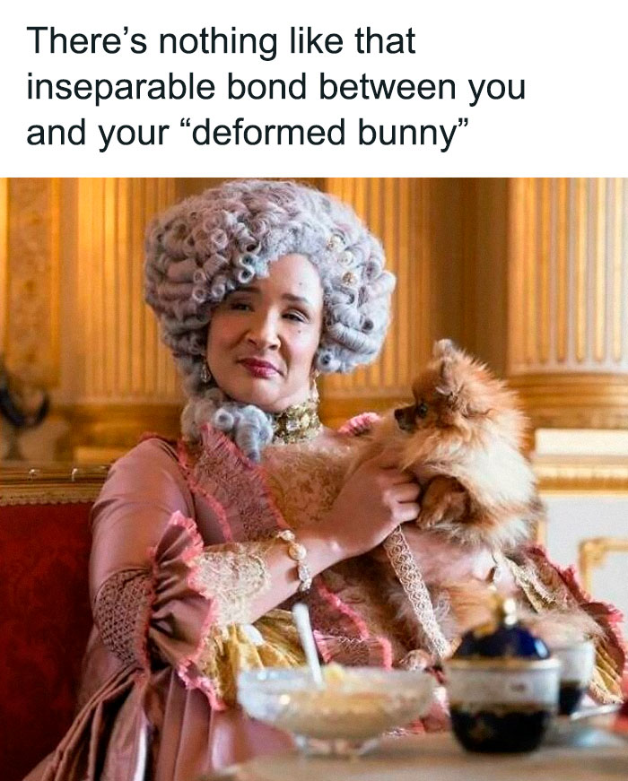 Bridgerton meme showing a woman in period costume holding a small dog, highlighting humorous fan moments from the show.