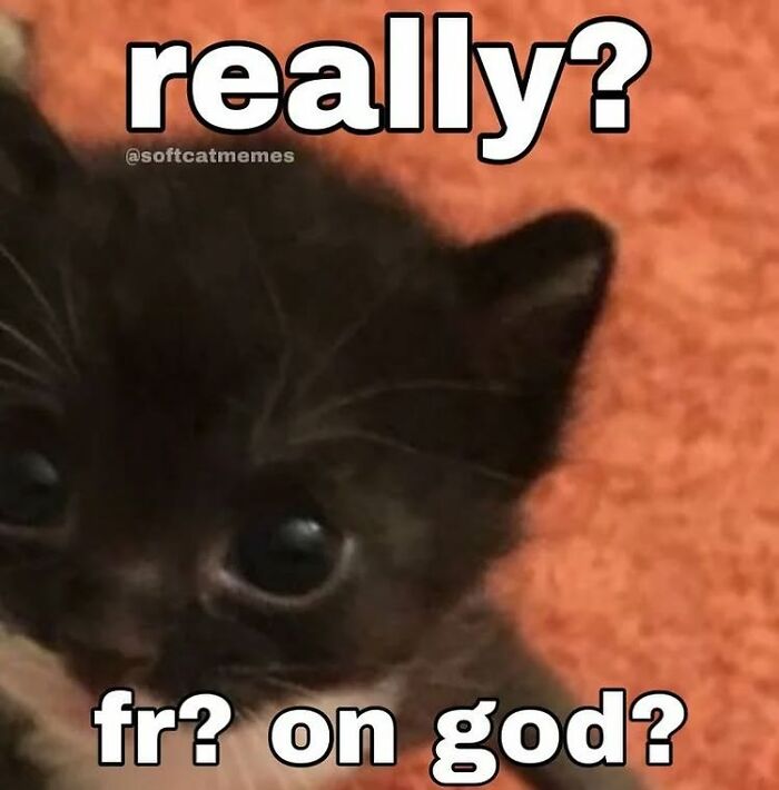 Black kitten with wide eyes on an orange background with text expressing surprise in a cat meme format.