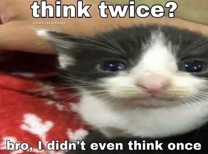 Close-up of a black and white kitten with text meme about not thinking twice, perfect for cat memes content.