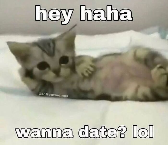 Adorable kitten lying on its back with text caption, a funny cat meme from Cutecats.exe collection.