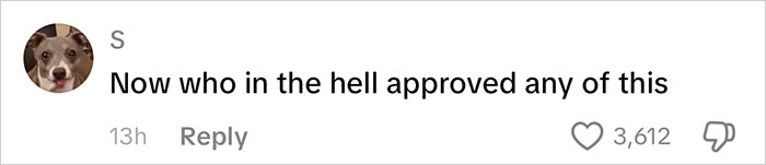 Comment on social media with a dog profile picture reacting to Frida Mom's highly inappropriate marketing causing major chaos online.