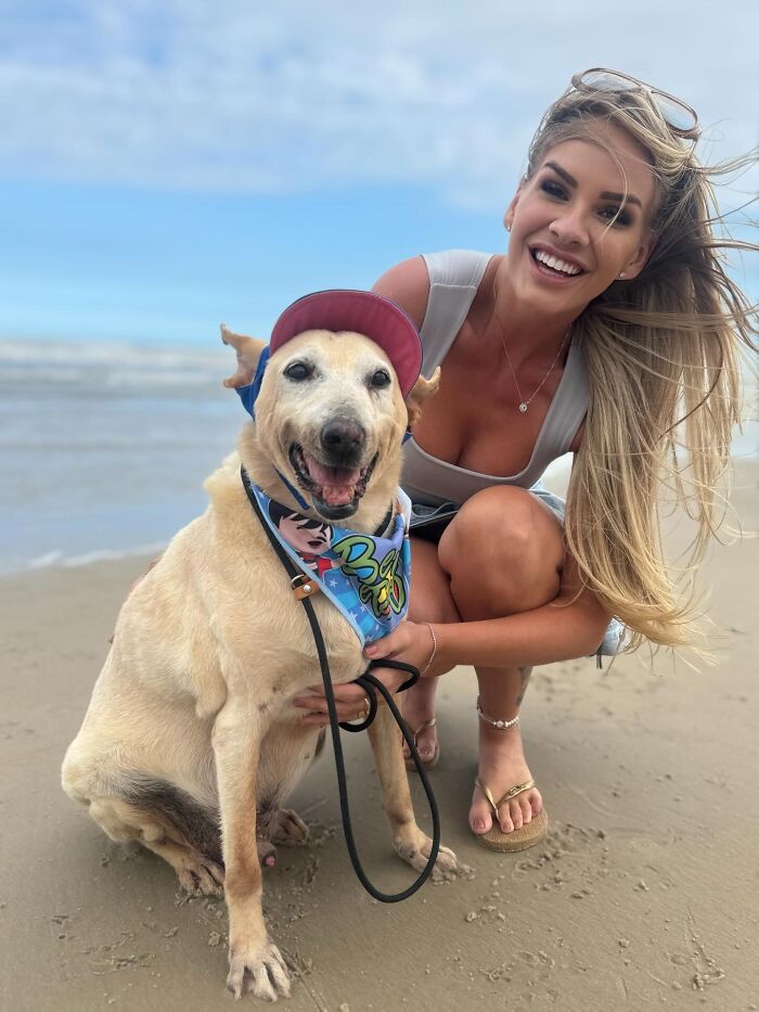 This Senior Dog Waited Years In A Shelter Until One Man Finally Gave Him A Home