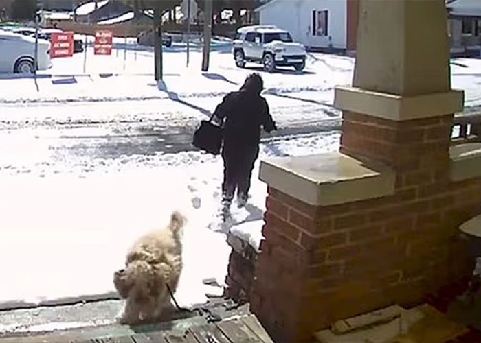 Vet tech walking away from a snowy porch with a fluffy dog on a leash during a winter snowstorm rescue.