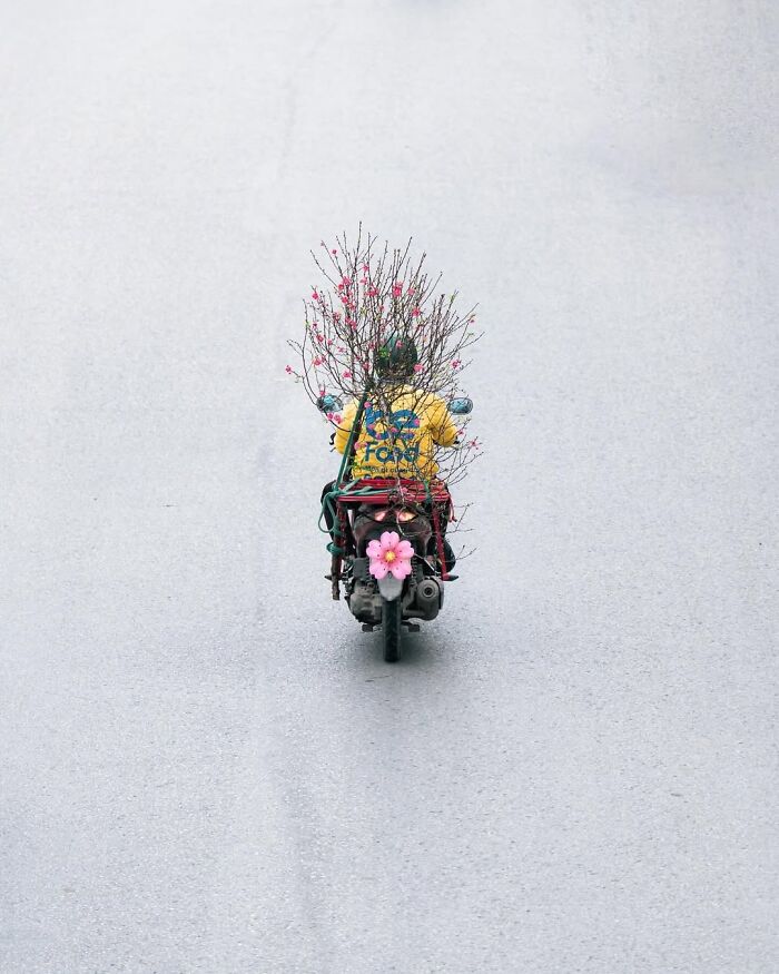 These Stunning Photographs Capture Perfectly Timed Moments That Tell Whole Stories (35 New Pics)