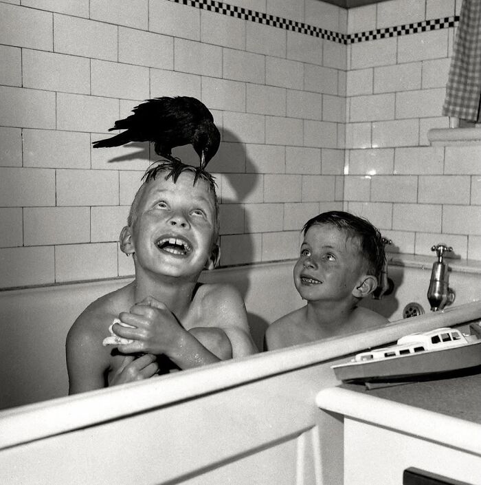 These Stunning Photographs Capture Perfectly Timed Moments That Tell Whole Stories (35 New Pics)