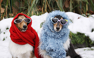 30 Pet Peeves That Instantly Divide A Room