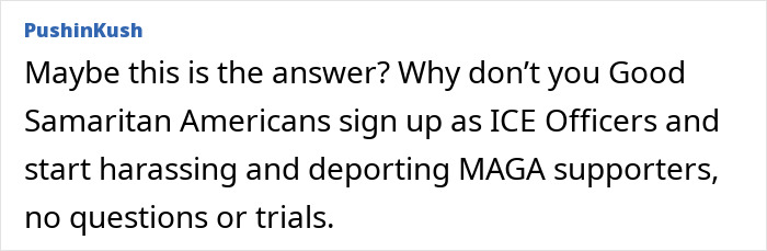 Comment suggesting Good Samaritan Americans become ICE officers to harass and deport MAGA supporters without trials.