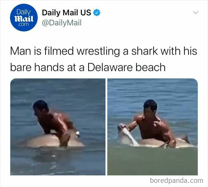 Man wrestling a shark with his bare hands in water, illustrating unhinged news headlines from America.