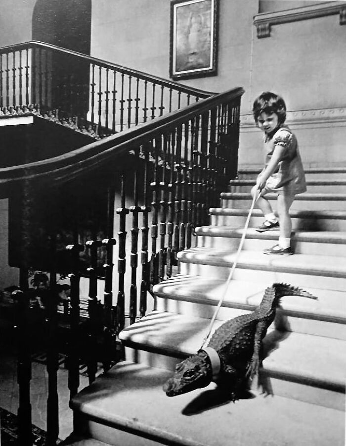 These Stunning Photographs Capture Perfectly Timed Moments That Tell Whole Stories (35 New Pics)