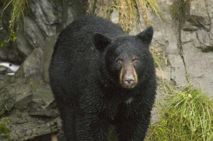 69 Bizarre, Creepy, And Terrifying Incidents From The World Of Overnight Jobs