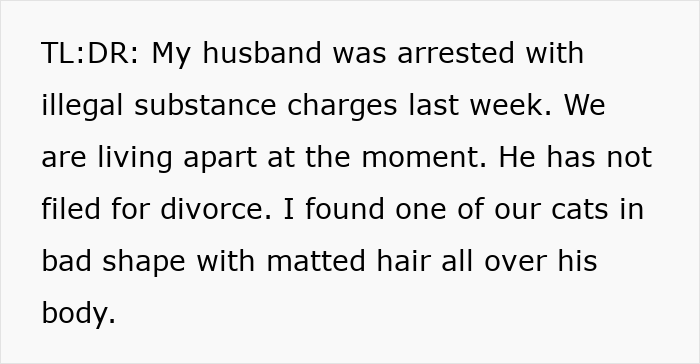 Text post describing estranged wife checking on jailed husband's cats, discovering unexpected items revealing he&rsquo;s not sad.
