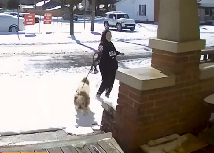 Vet tech walking an abandoned dog on a snowy street during a snowstorm, highlighting rescue efforts in harsh weather.
