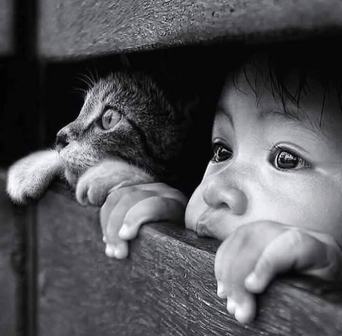 These Stunning Photographs Capture Perfectly Timed Moments That Tell Whole Stories (35 New Pics)