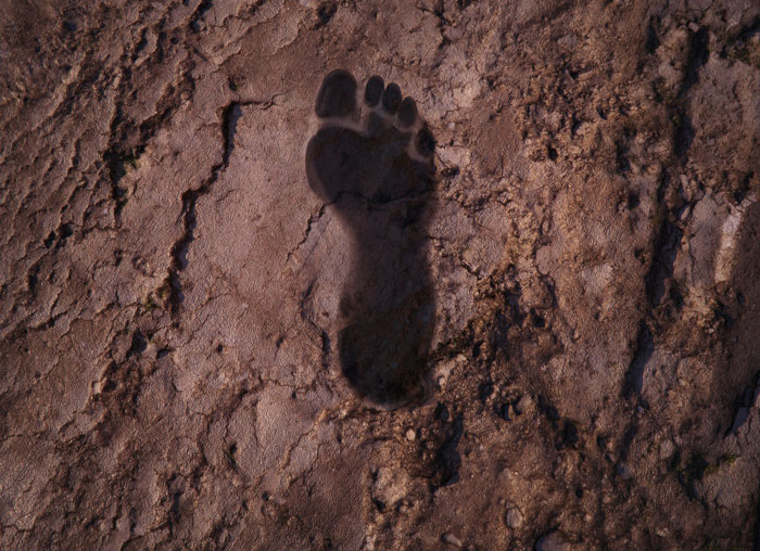 Ancient human footprint fossil embedded in c*****d earth representing mysteries that have sent many people down the rabbit hole.