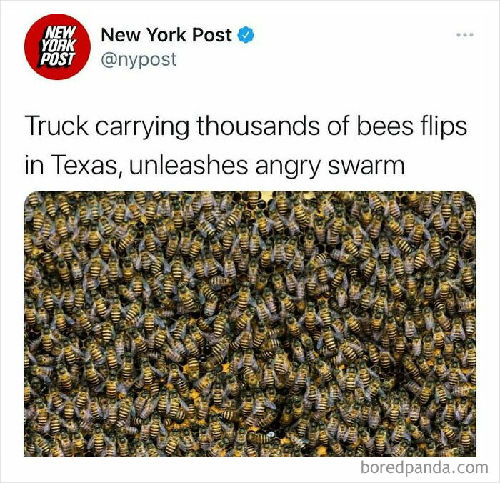 Swarm of thousands of bees unleashed after truck accident in Texas, highlighting unhinged news headlines in America.