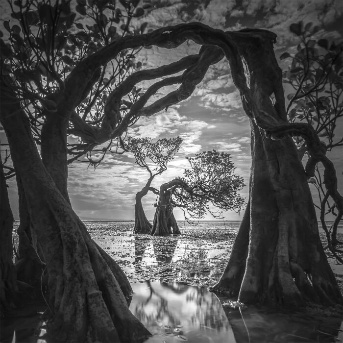 "Walakiri Romance" By Justinus Sukotjo