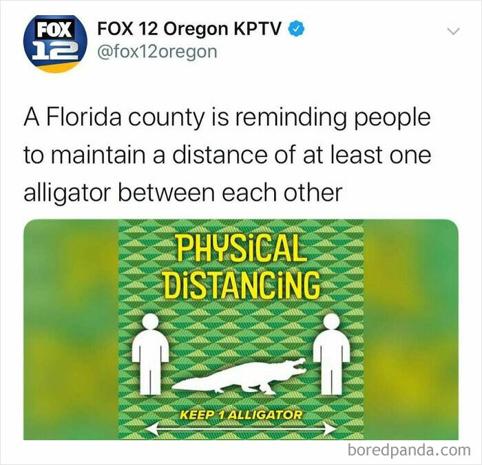 Tweet from FOX 12 Oregon about Florida county advising physical distancing with at least one alligator between people, unhinged news headlines.