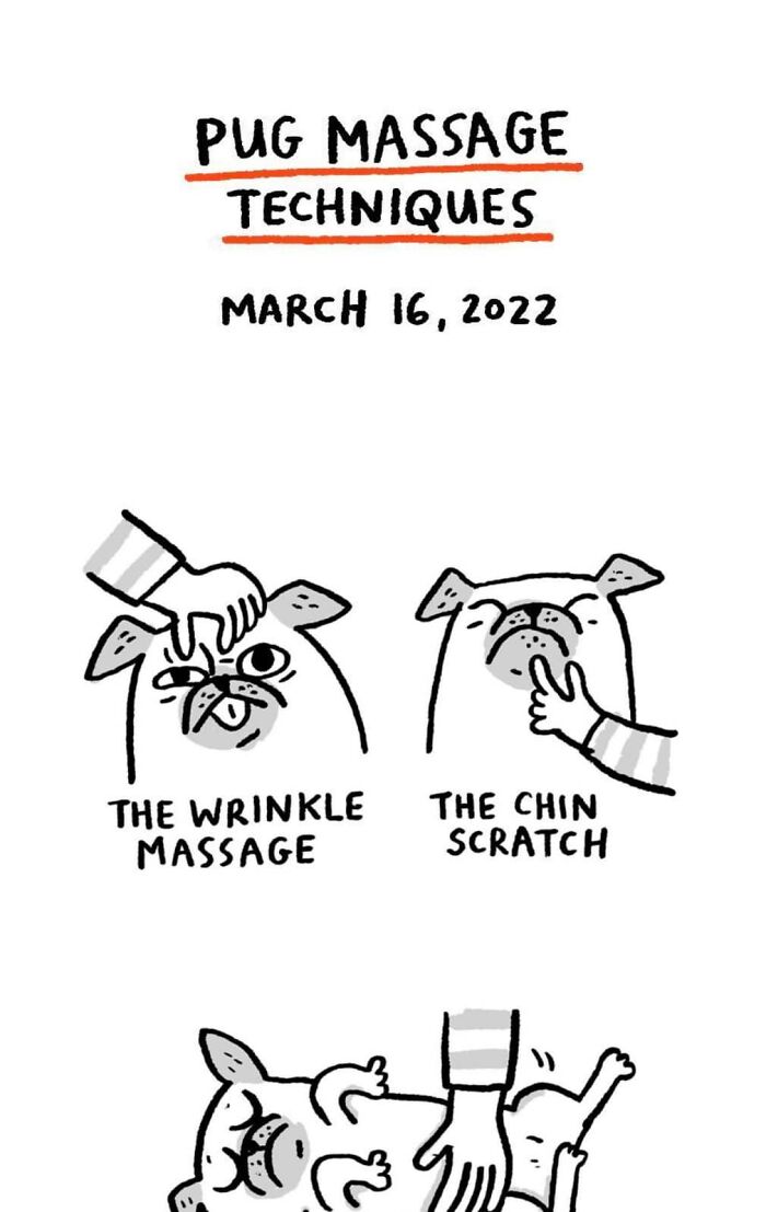 Cartoon showing pug massage techniques with illustrations of wrinkle massage and chin scratch for pug owners.