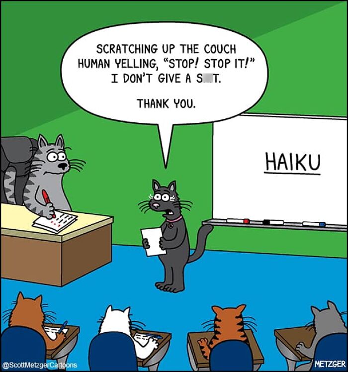 Cartoon cats in a classroom sharing a funny haiku about scratching the couch, highlighting life with cats and dogs.