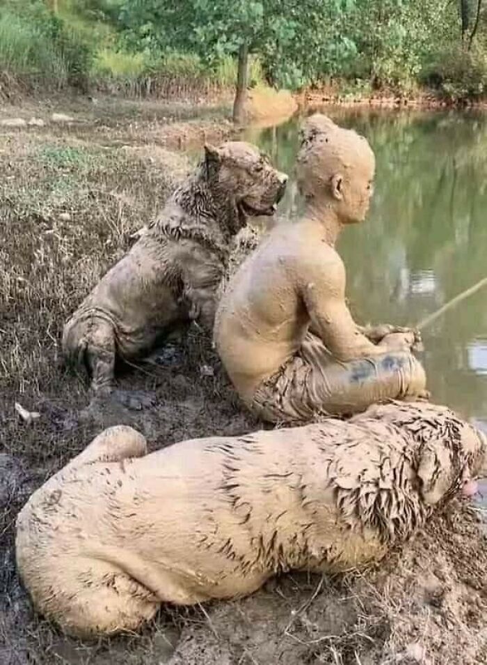 Man and two dogs covered in mud sitting by a pond, showcasing an unexpectedly beautiful bond between humans and animals.