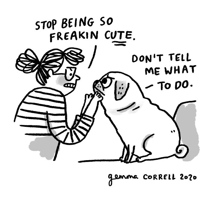 Comic illustration of a pug owner interacting with a stubborn pug, showing the unique bond of pug owners.