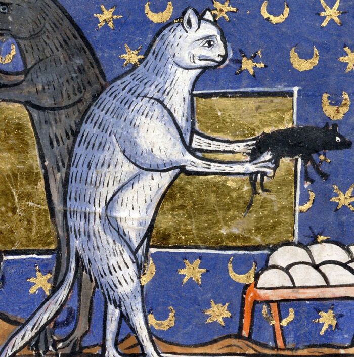 Medieval cat-themed artwork depicting a cat holding a rat against a starry blue and gold background.