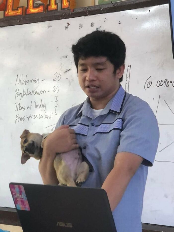 Man holding a small dog while standing in front of a whiteboard, showing an unexpectedly beautiful bond between humans and animals.