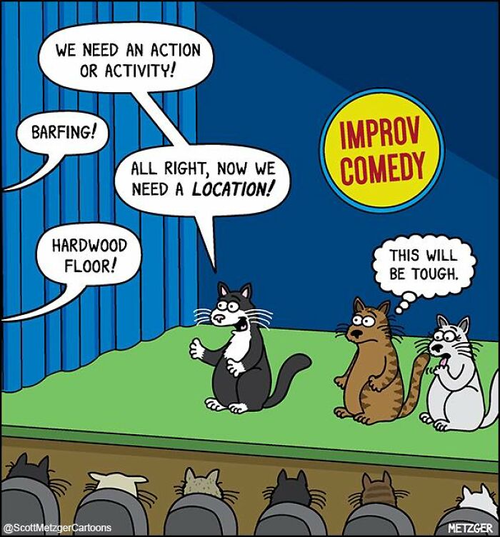 Comic of cats in an improv comedy show highlighting the humor of sharing a home with cats and dogs.