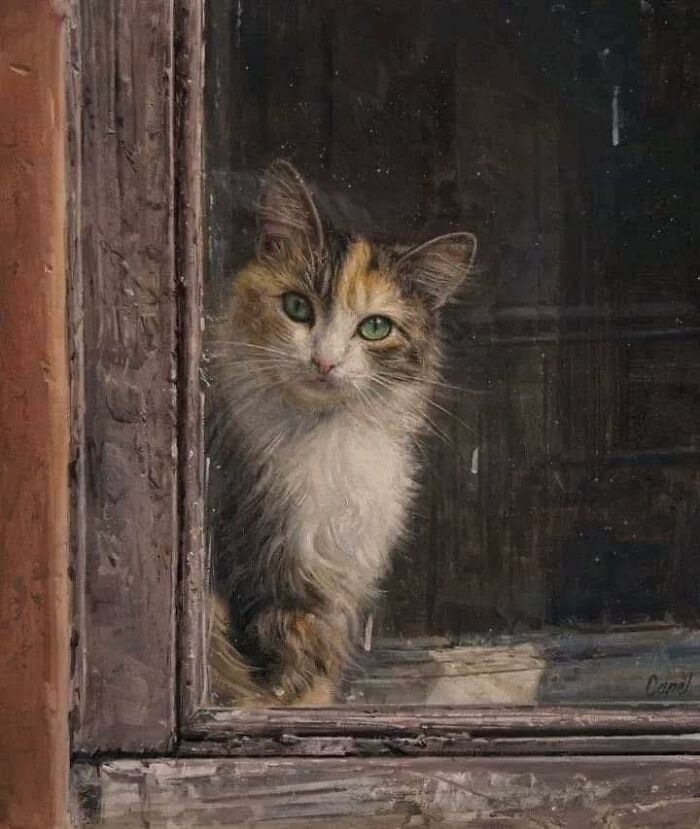 Realistic cat-themed artwork of a calico cat with green eyes looking through an old rustic window frame.