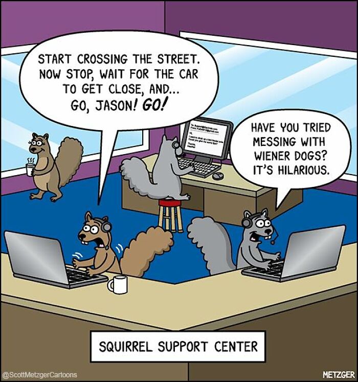 Cartoon comic of squirrels at a support center humorously illustrating life sharing a home with cats and dogs.