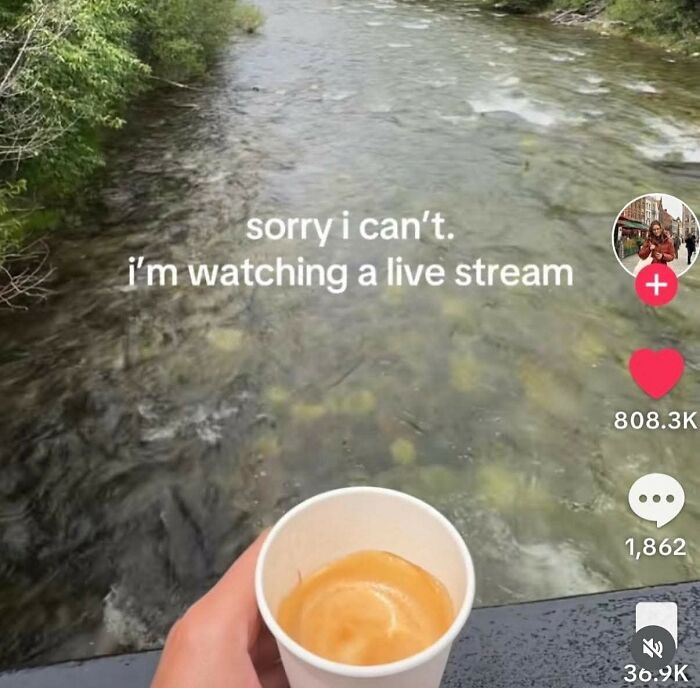 Hand holding coffee cup by a river with text about watching a live stream, a hilarious meme with cynicism.