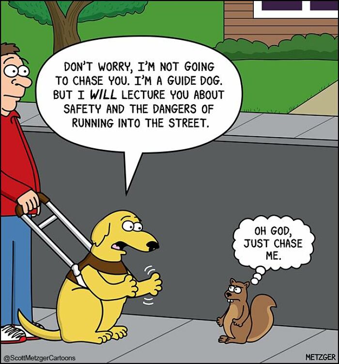 Comic showing a guide dog lecturing a squirrel about safety, illustrating life sharing a home with cats and dogs.