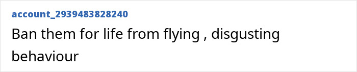 Video Captures Chaotic Brawl That Got 'Racist' Passengers Banned From Airline Video Captures Chaotic Brawl That Got 'Racist' Passengers Banned From Airline