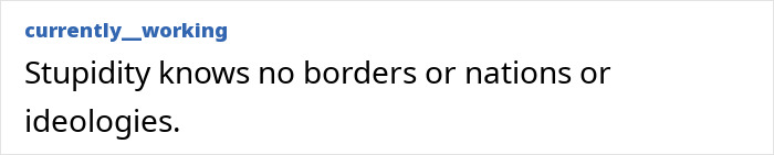 Text post showing phrase stupidity knows no borders or nations or ideologies related to MAGA influencer detained by ICE story.