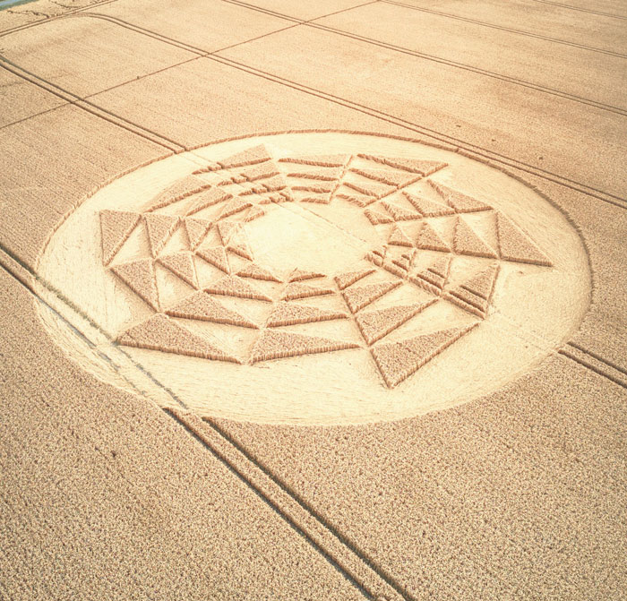Intricate crop circle in a wheat field representing one of the mysteries that sent many people down the rabbit hole.