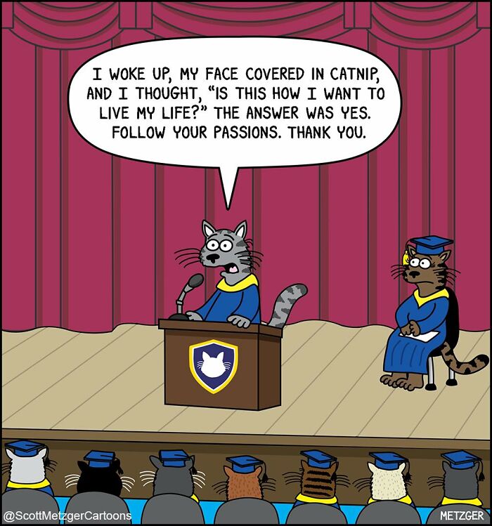 Cartoon cats in graduation gowns humorously sharing life lessons in a comic about sharing a home with cats and dogs.