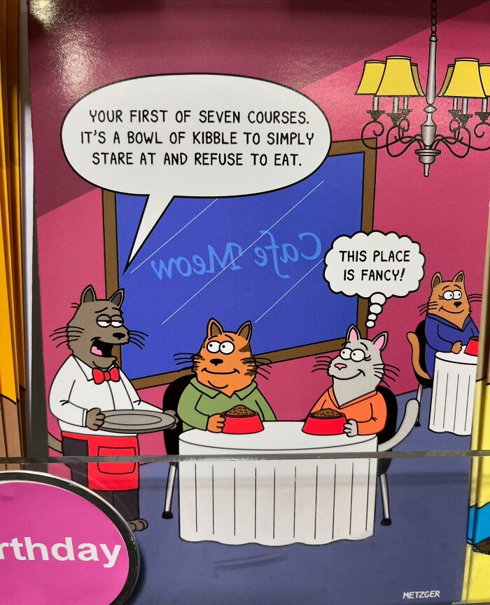 Cats and dogs comic showing pets at a fancy restaurant with humorous dialogue about kibble food courses.