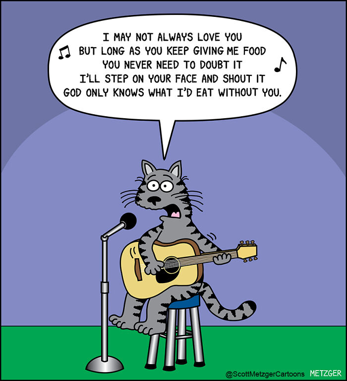 Cartoon cat playing guitar and singing about food, humorously depicting life sharing a home with cats and dogs.
