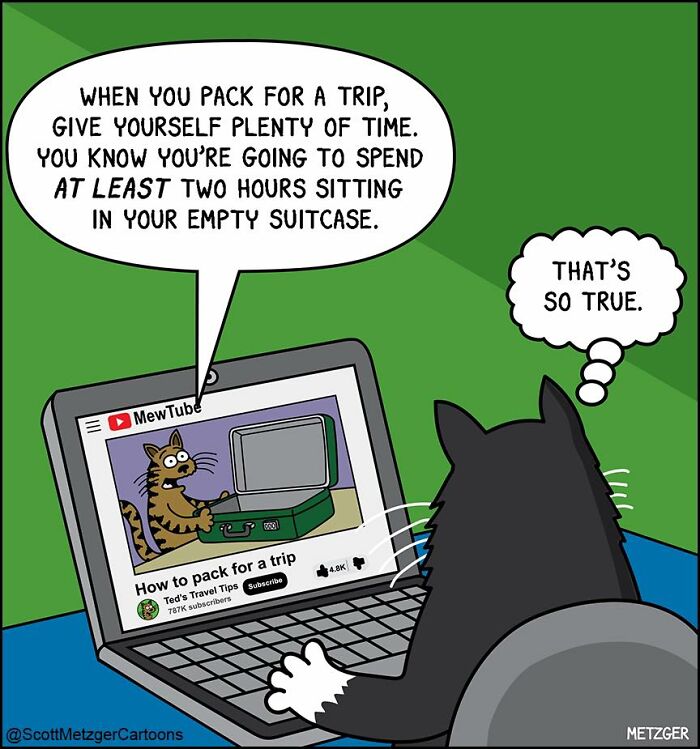 Black cat watching a comic about cats and dogs on a laptop, highlighting funny moments of sharing a home with pets.