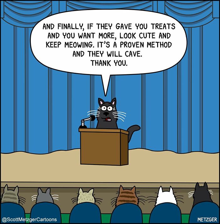 Cat cartoon giving a speech on how to get treats, illustrating life sharing a home with cats and dogs.