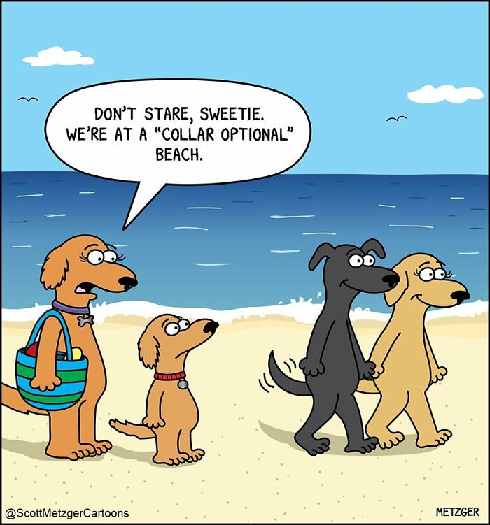 Cartoon of dogs at a beach humorously depicting life sharing a home with cats and dogs in comics.