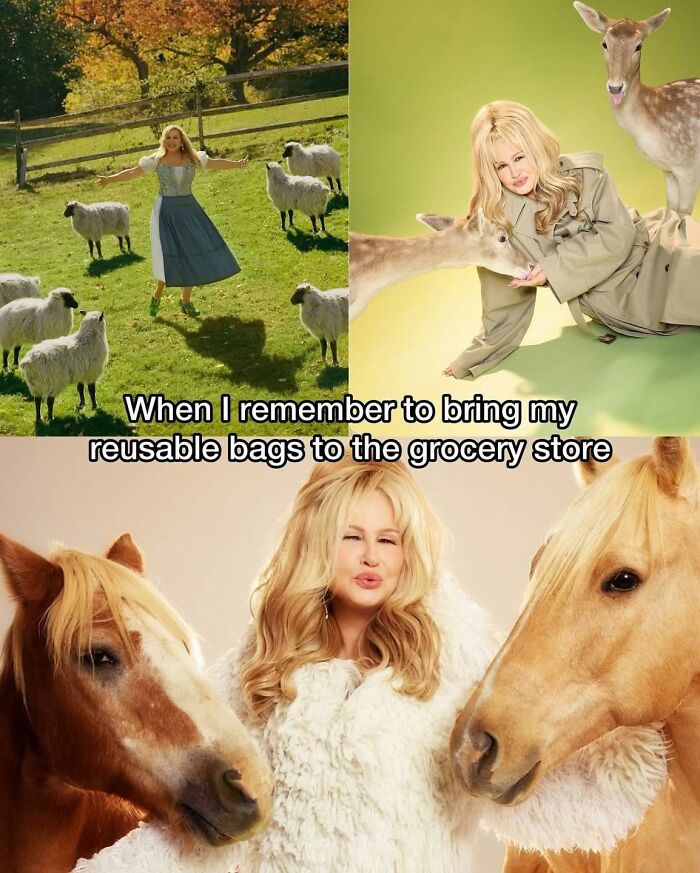 Person happily surrounded by animals in whimsical scenes, capturing the humor of hilarious memes and relatable moments.