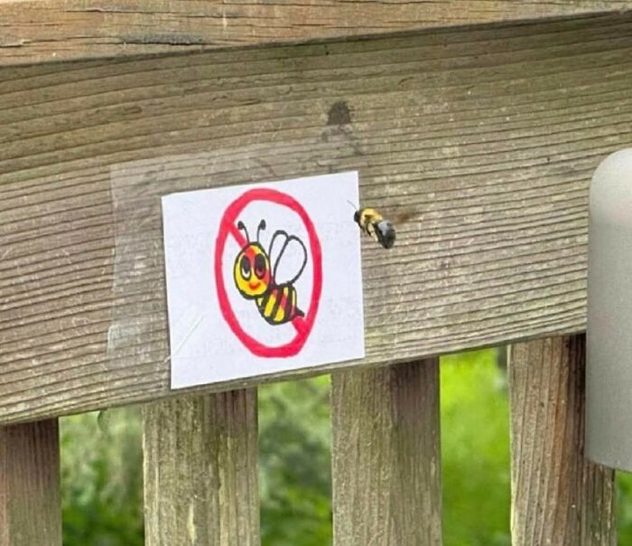 Bee ignoring a no bees sign on wooden fence humorous meme with a hint of cynicism concept