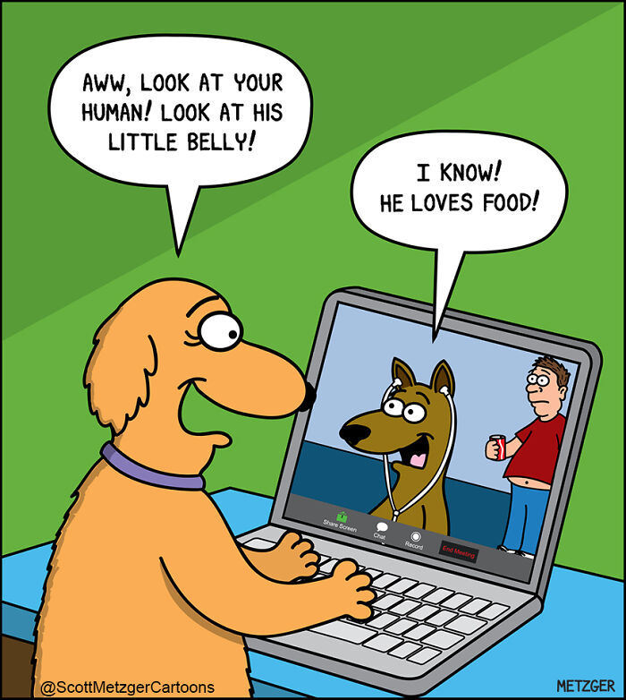 Cartoon of dogs video chatting, humorously sharing what it’s like living with cats and dogs at home.