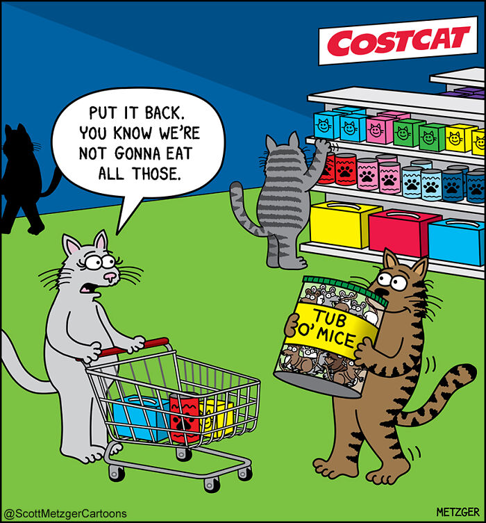 Cartoon of cats shopping for pet supplies, humorously illustrating life sharing a home with cats and dogs.
