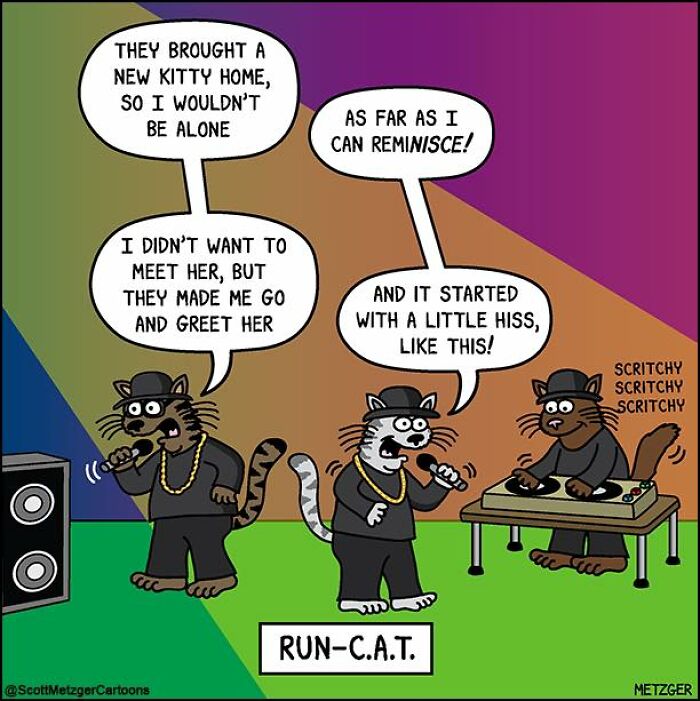 Cartoon cats rapping as RUN-C.A.T. on stage, illustrating the humor of sharing a home with cats and dogs.