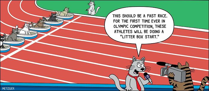 Comic scene showing cats lined up for a race using litter boxes, capturing humor of sharing a home with cats and dogs.